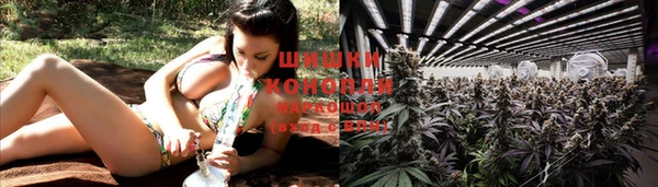 скорость Аркадак