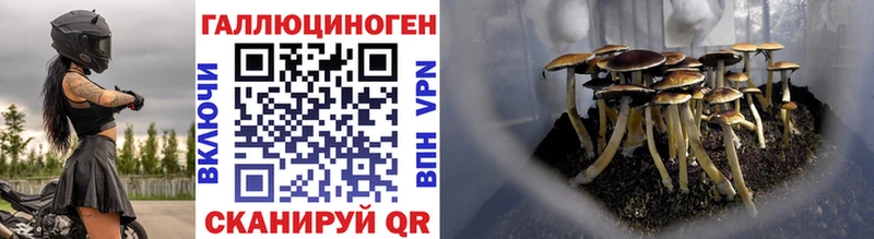 Галлюциногенные грибы Magic Shrooms  Ростов 