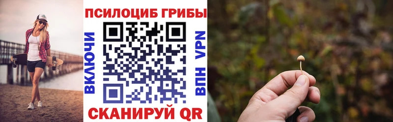 Галлюциногенные грибы Cubensis Ростов